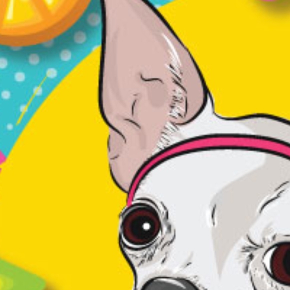 Chihuahua (white) - Hello Summer! - Picture 2 of 3